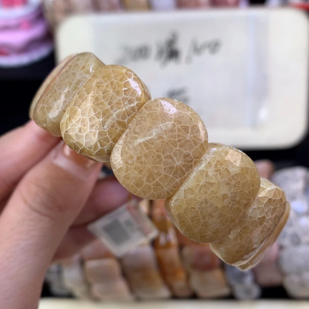 硅化珊瑚（珊瑚玉）未镶嵌吊坠(赠链)漏五折精美手牌（28号）