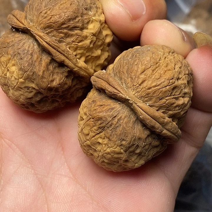 文玩核桃把件云南铁核桃39