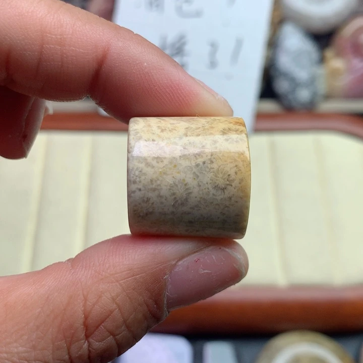 硅化珊瑚（珊瑚玉）颈饰未镶嵌