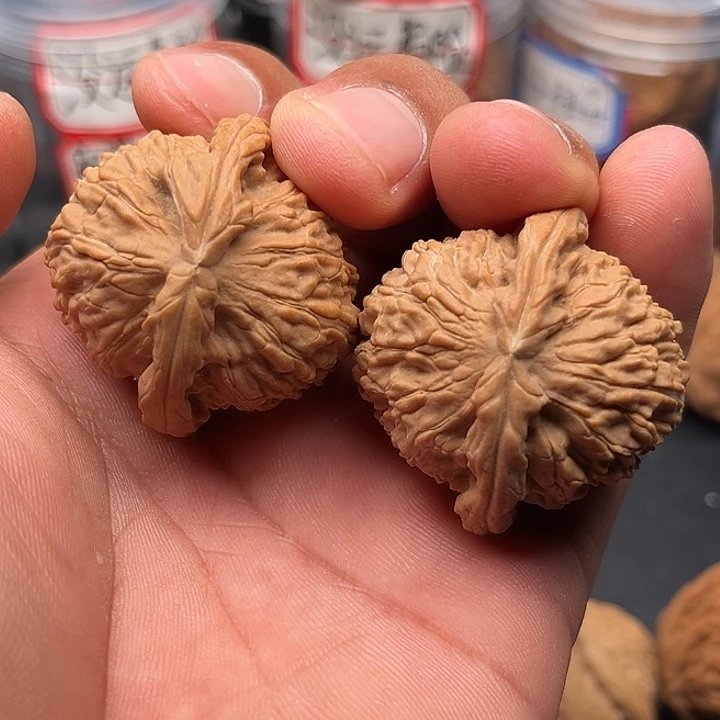 文玩核桃把件白狮子38