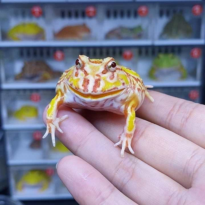 特价促销开始啦哇