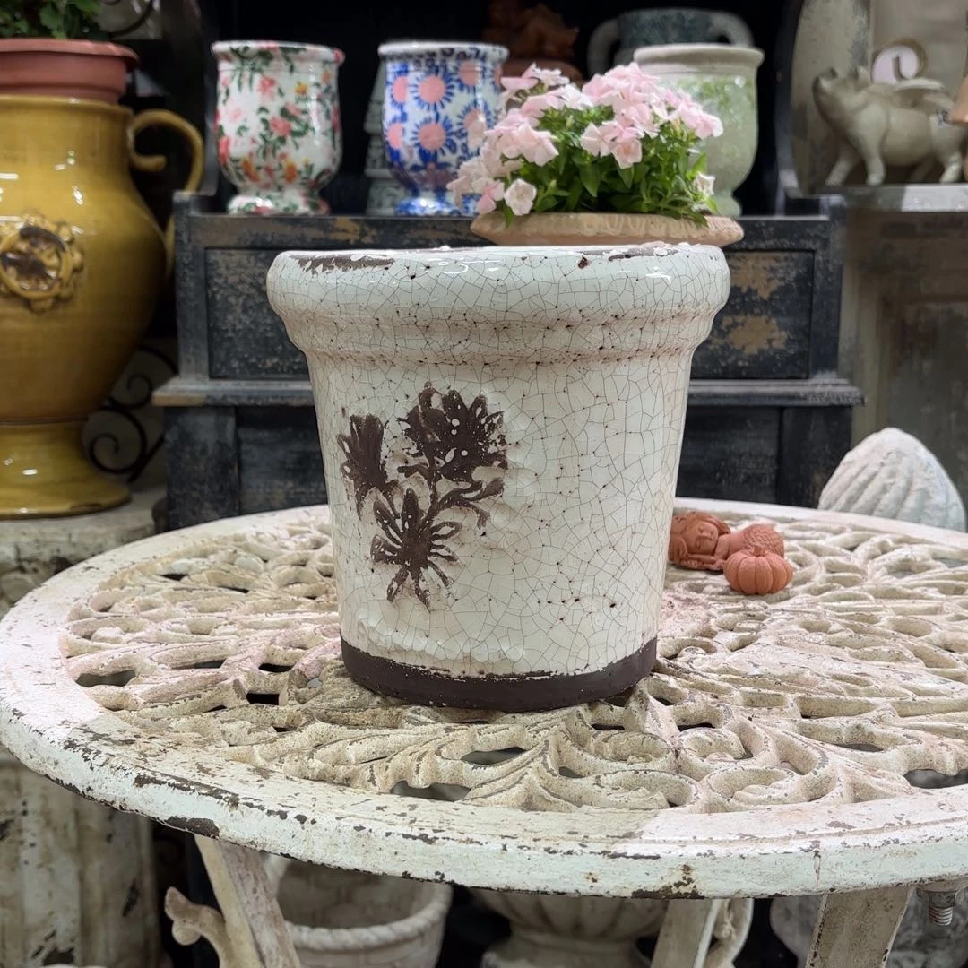 许纯的花房 香草白色 小号