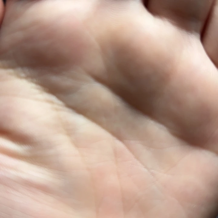 平***物建盏主人杯定制款藏款