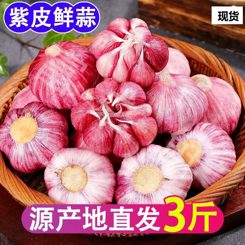 新鲜湿蒜大蒜净重3斤紫皮蒜农家红皮蒜多瓣糖蒜批发当季现挖