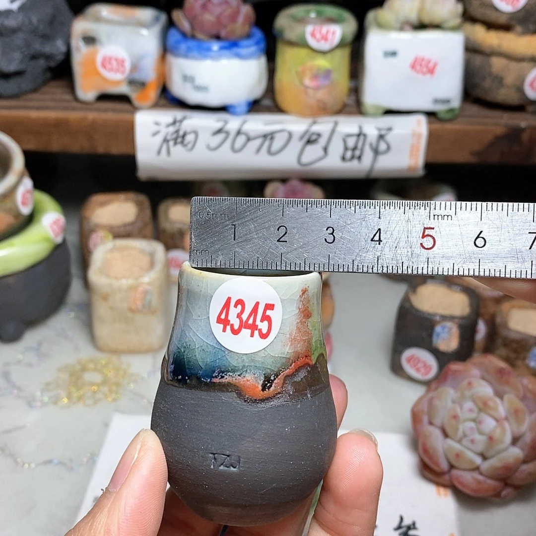 红陶拍5送一个小