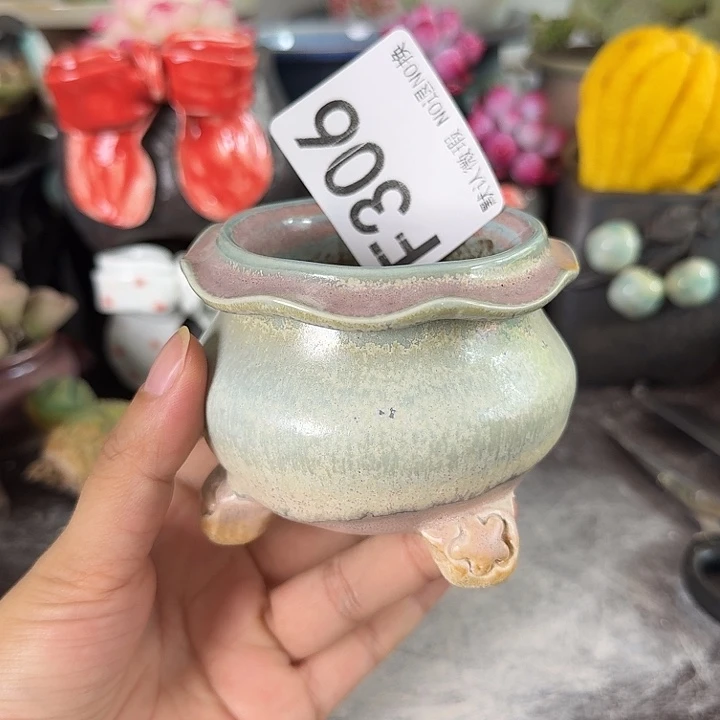 重庆小燕子欢迎大家306