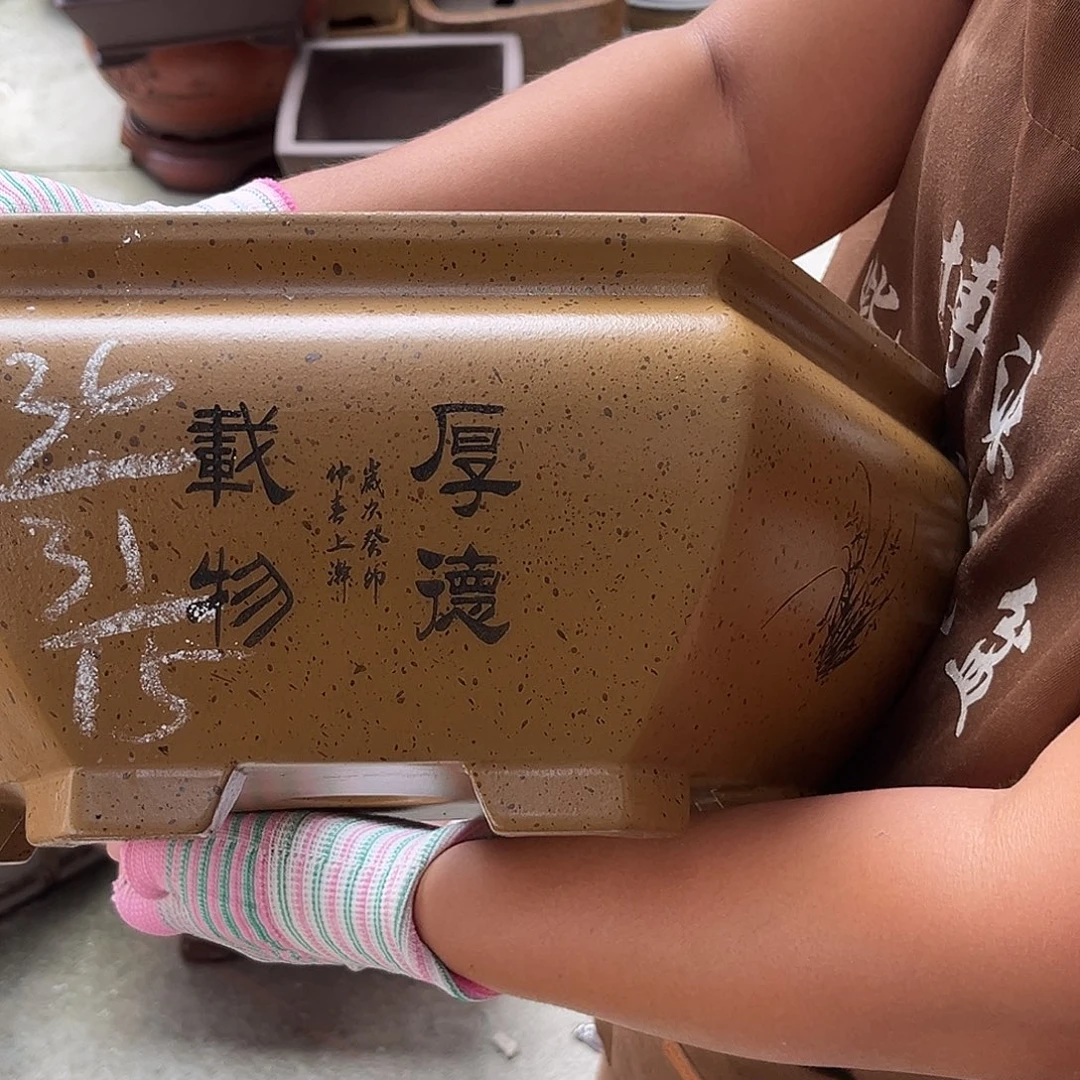 紫砂花盆盆景艺术