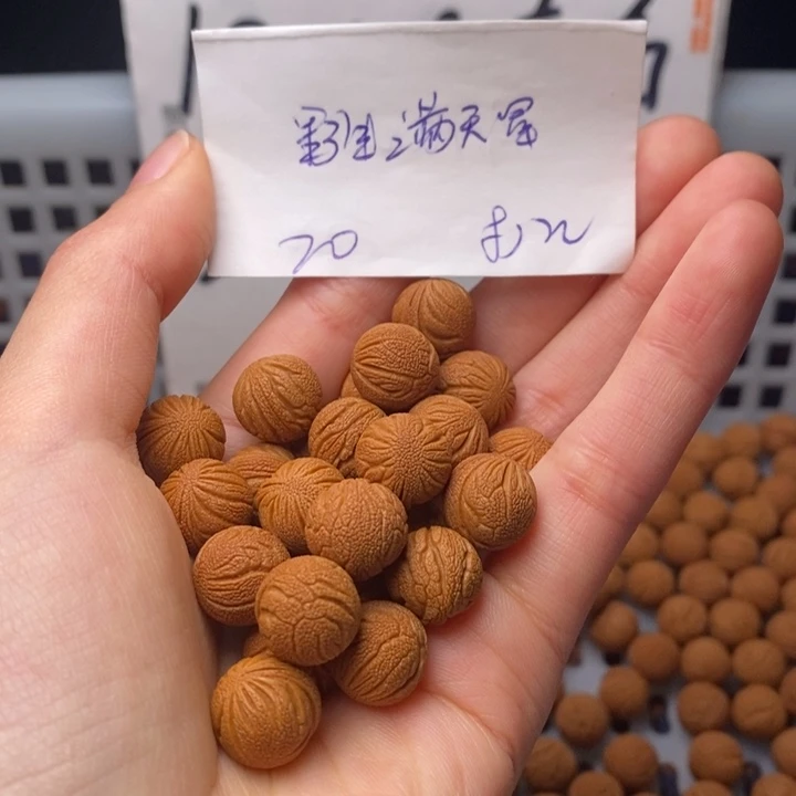桃核手串12mm左右野生满天星20颗（打孔）