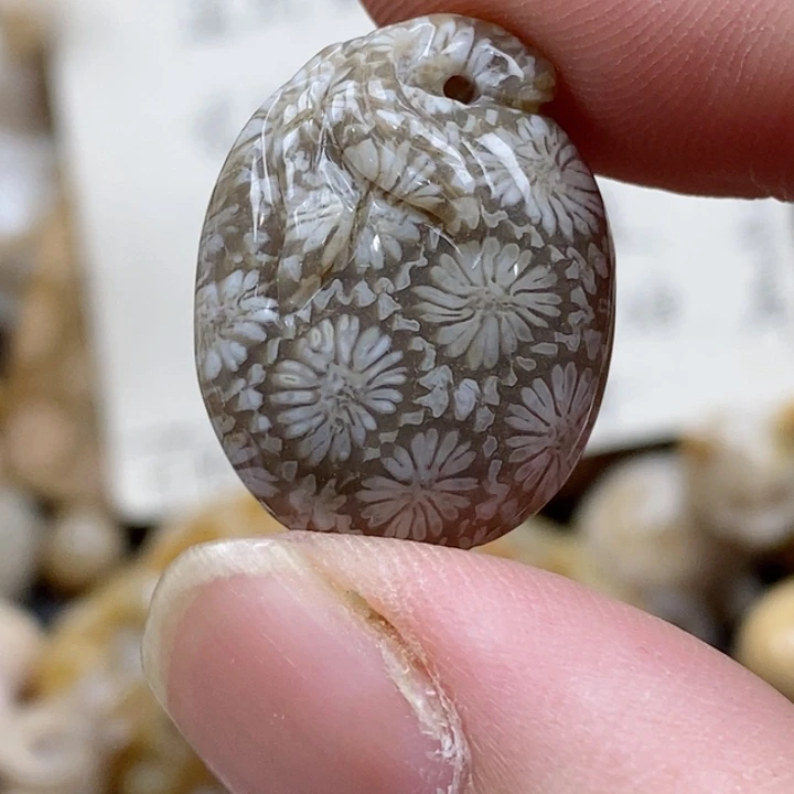 颈饰未镶嵌硅化珊瑚（珊瑚玉）小