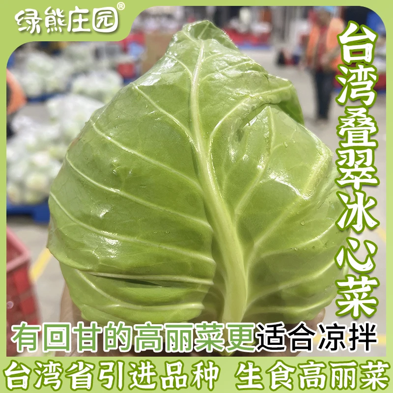 【可生食】雪翠高丽菜宝岛台湾品种新鲜叠翠冰心牛心甘蓝包菜卷心