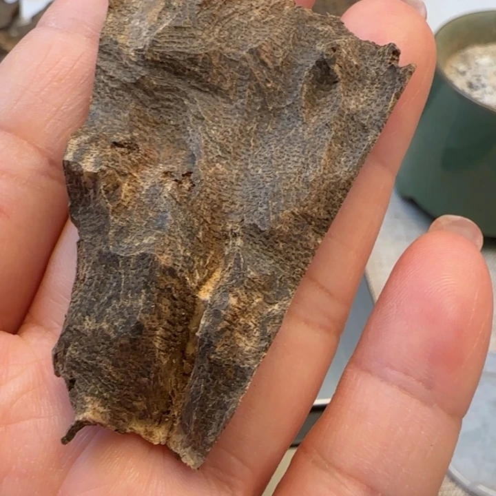 摆件沉香海南野生包头3克