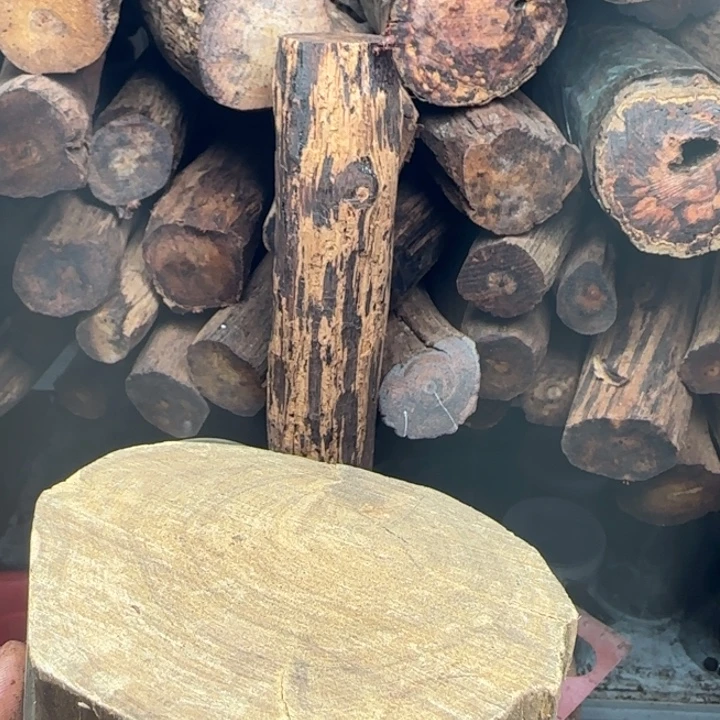 用***1木降真香开料直播间