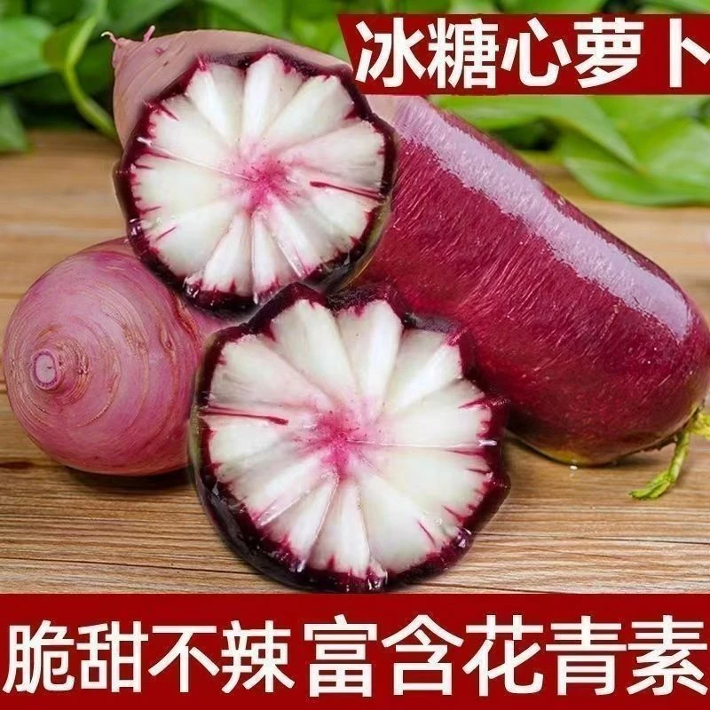 冰淇淋水果萝卜种子秋冬种子紫皮冰淇淋水果萝卜种子冰糖心四季