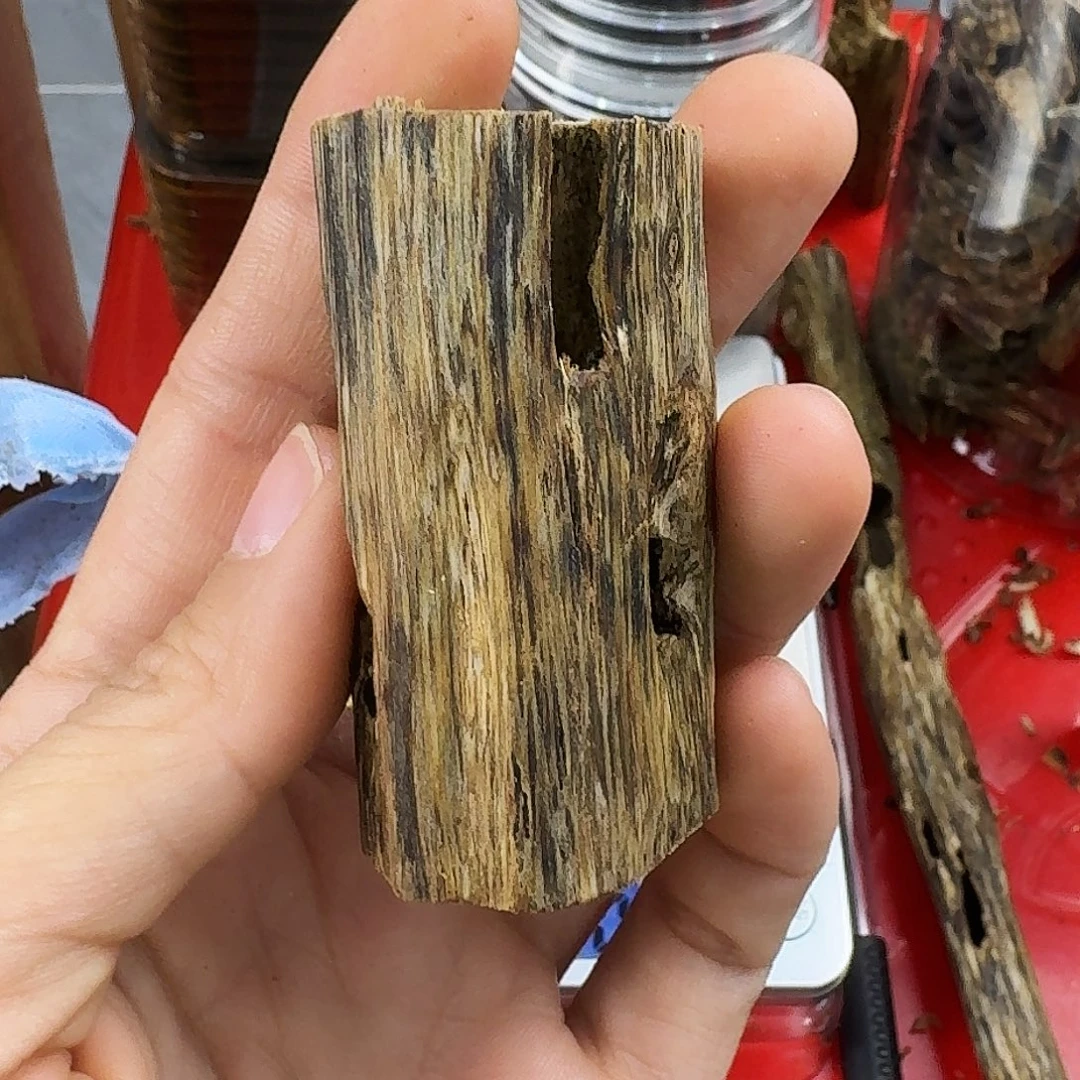 香料绿奇楠虫漏白棋13克