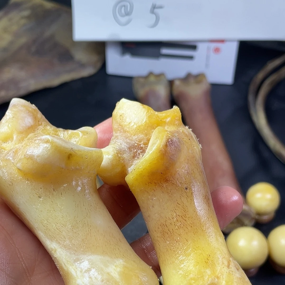 育***记手串/手链驼骨俾骨一对