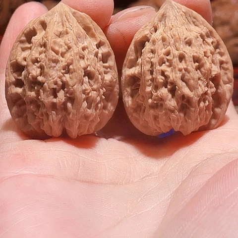 把件文玩核桃小野鸡31