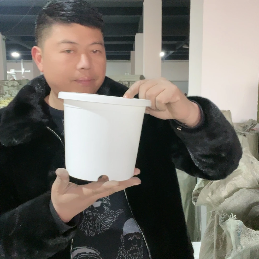 树脂圆2号白5个无托