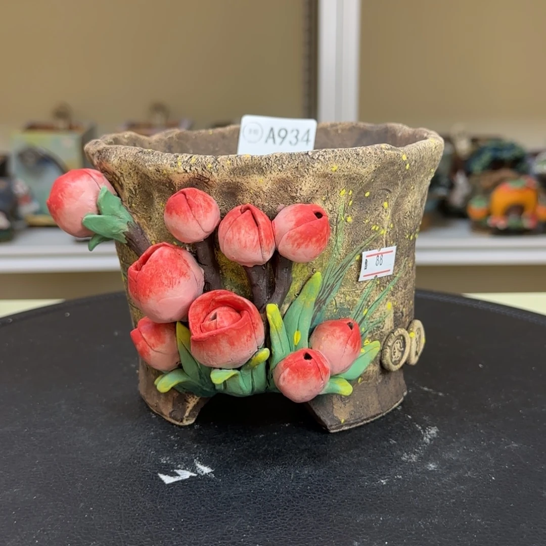 A934【闪购】多肉花盆