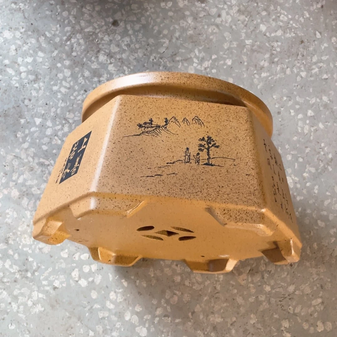 紫砂花盆抢到的话