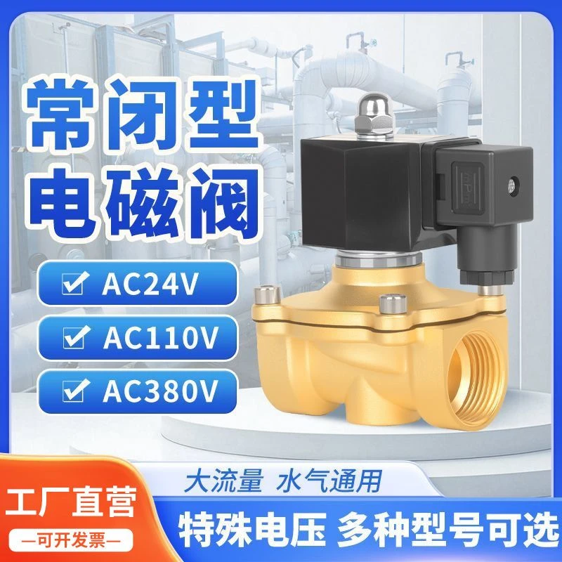 黄铜常闭电磁阀户外防水管道自动控制开关水阀阀门AC24V380V110V
