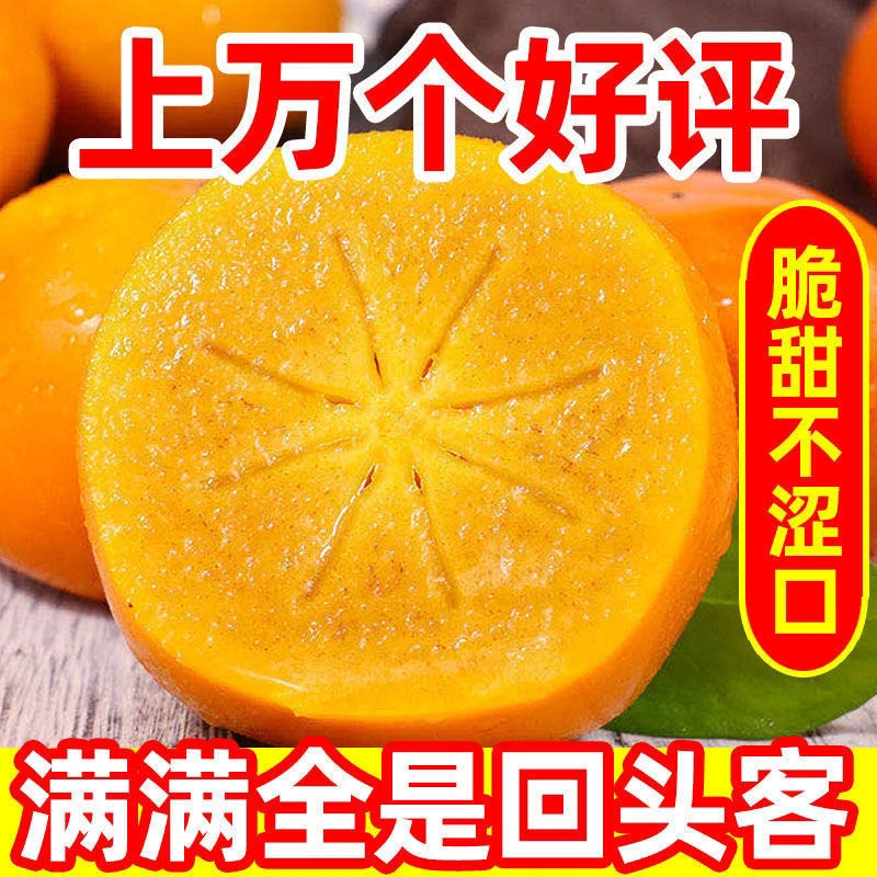 现货正宗阳丰巧克力甜脆柿子整箱新鲜冰糖应季水果脆甜批发无核甜