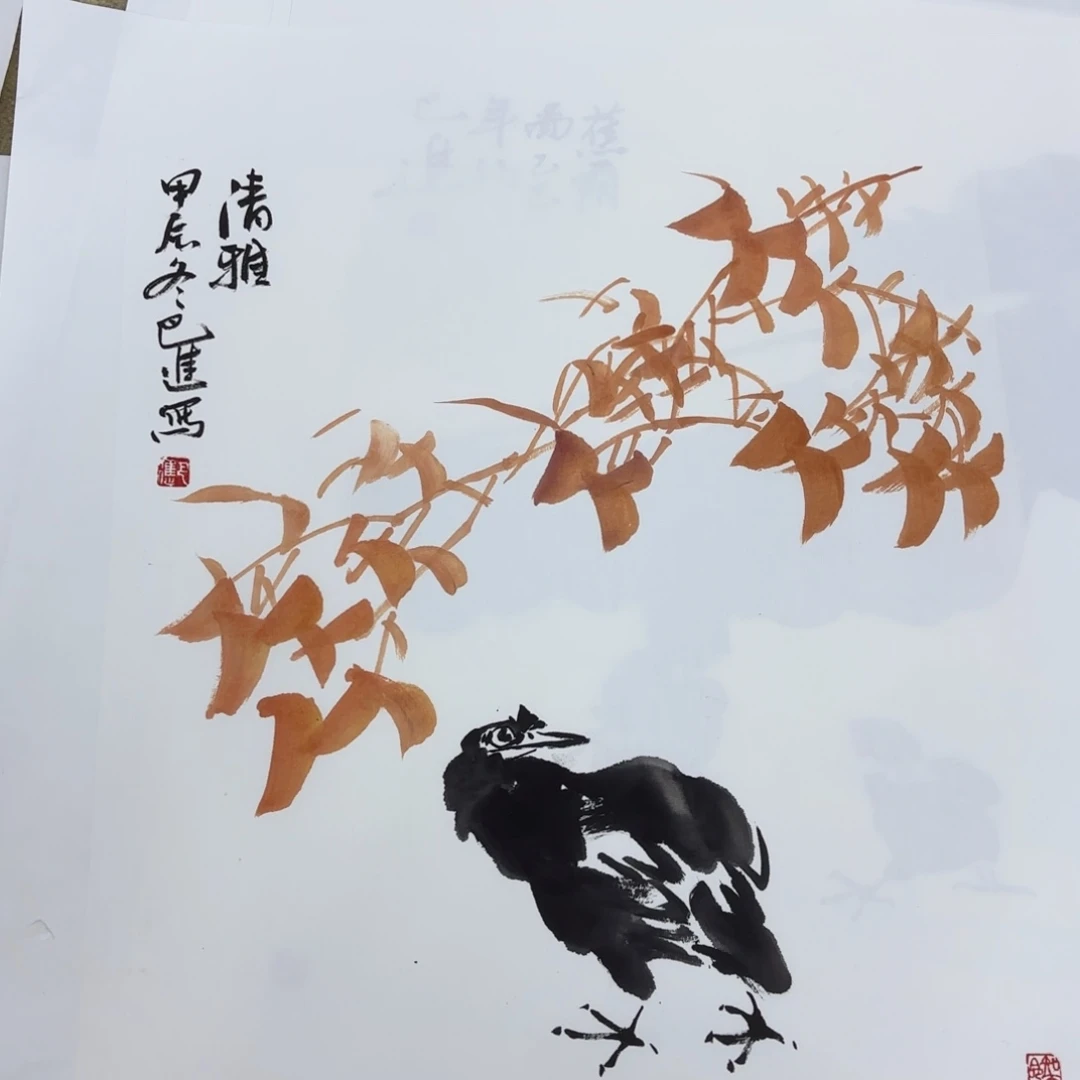 国画用****9巴进斗方花鸟赵