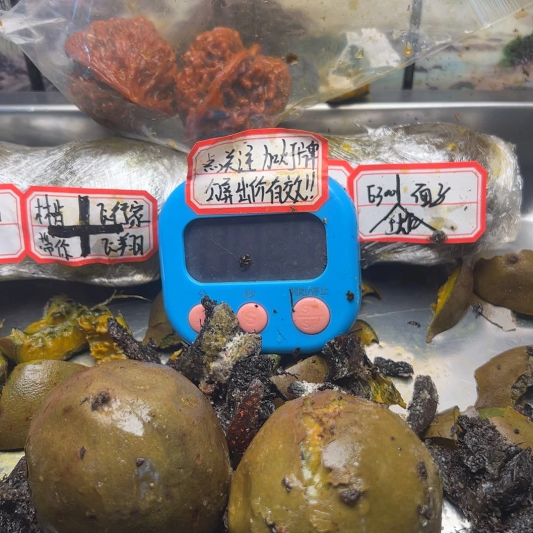 成功姐姐扭扭捏捏你姐姐家