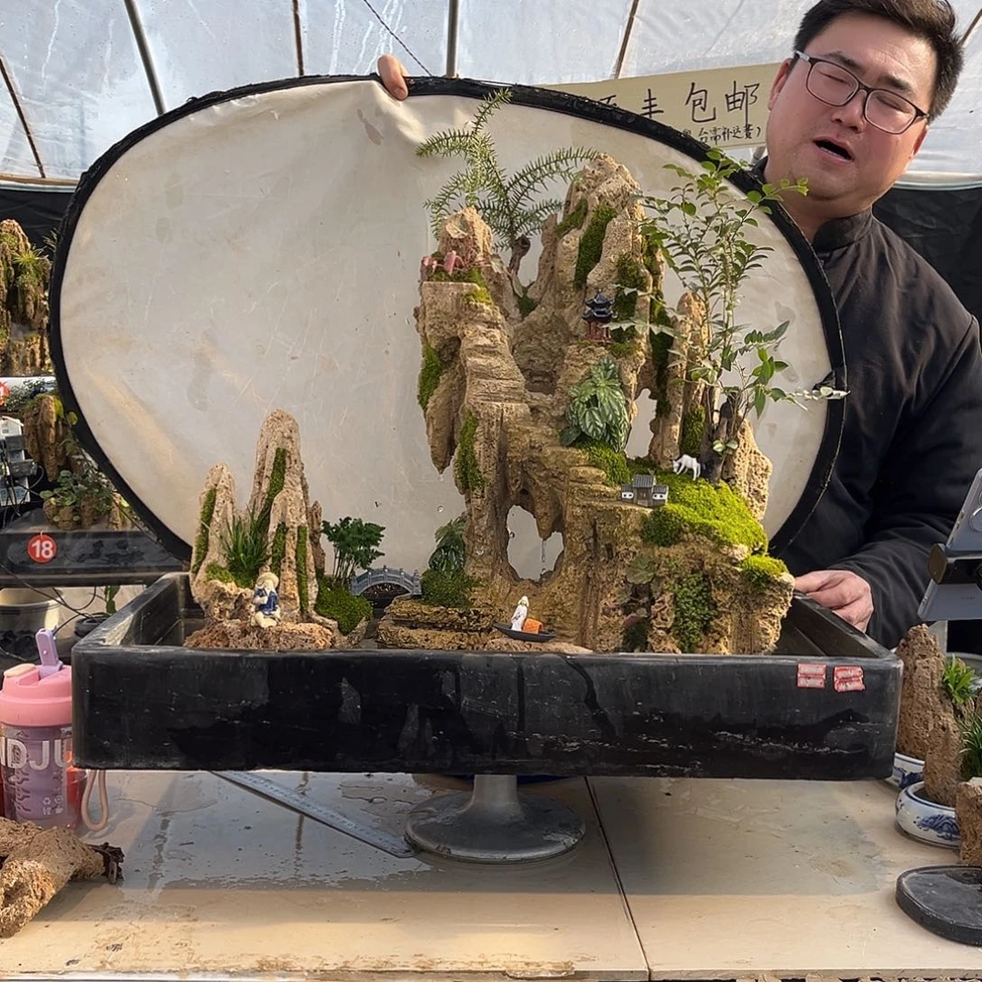 大***和无花朵吸水石假山盆景全套