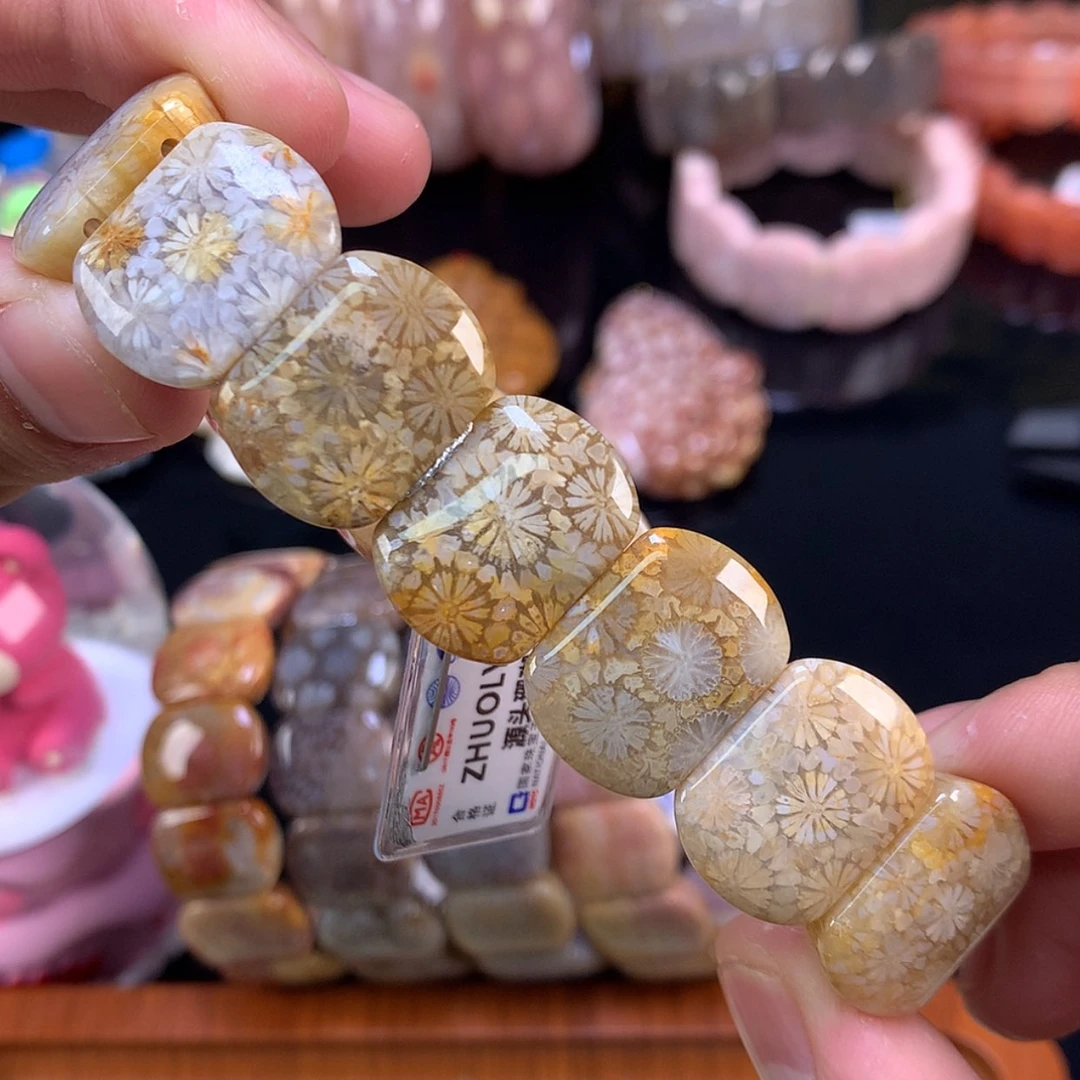 【闪购商品】颈饰未镶嵌硅化珊瑚（珊瑚玉）43号星星花