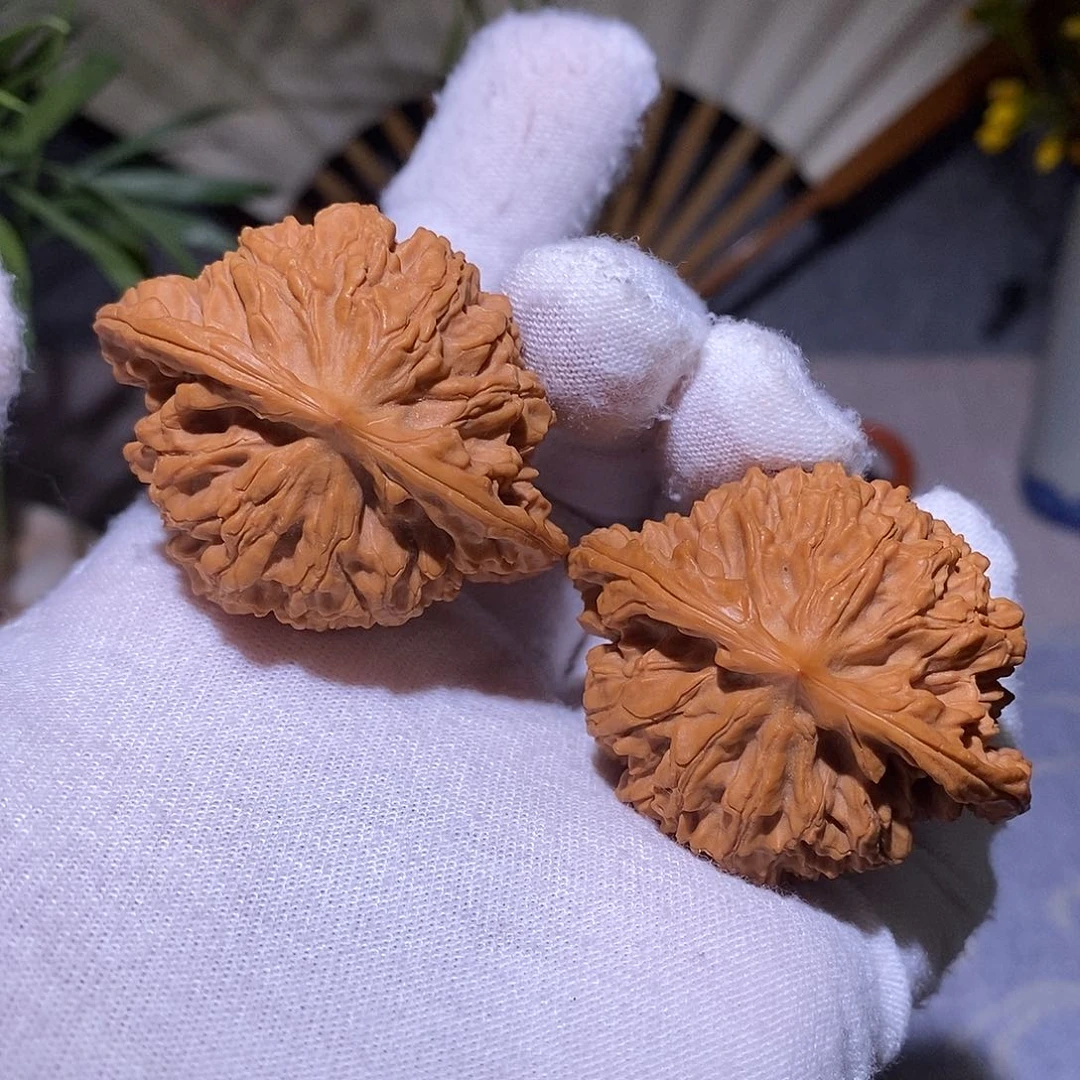 文玩核桃吊坠老蟠龙纹44