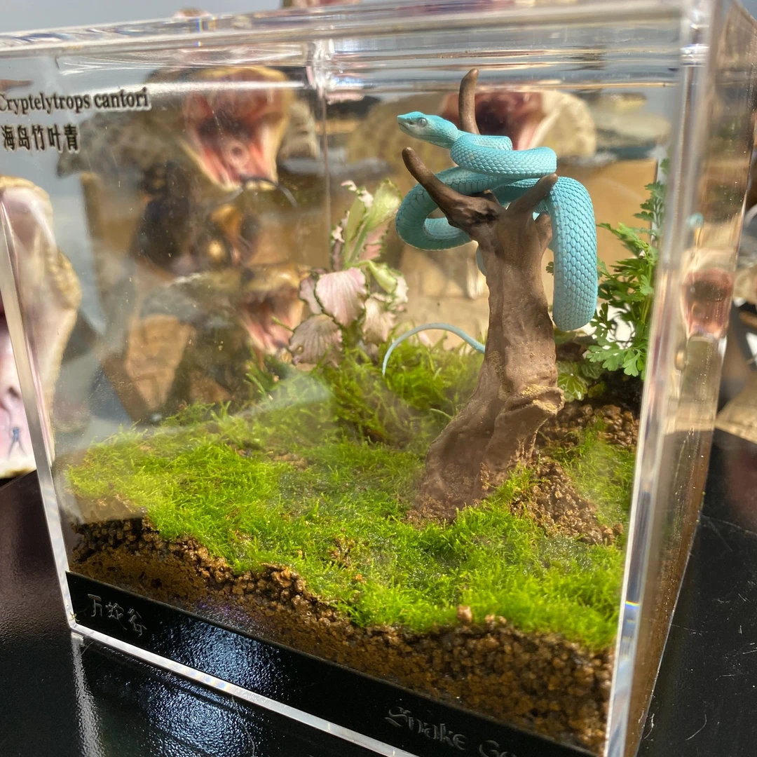 苔藓微景观生态缸室内桌面微缩模型海岛竹叶青蛇模型