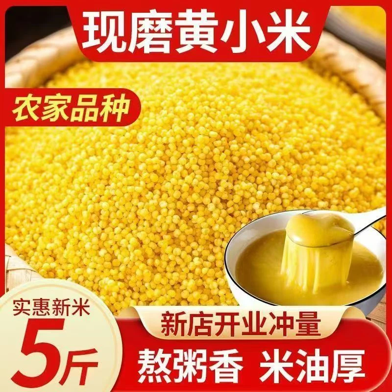 2024新米】5斤装黄小米东北大包煮饭煮粥新货小米颗粒饱满色泽金黄