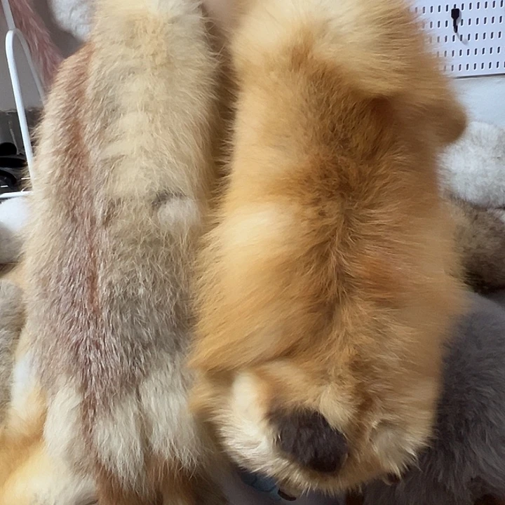 T****围脖围脖围巾围脖