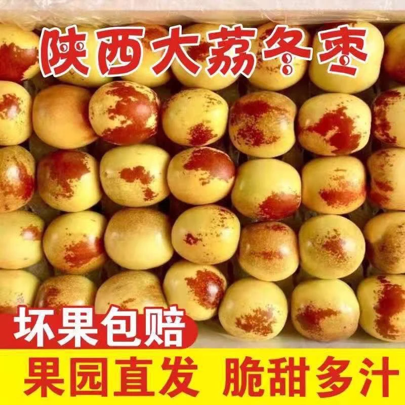 【产地直发】正宗陕西大荔冬枣新鲜应季脆甜多汁现摘现发产地直发