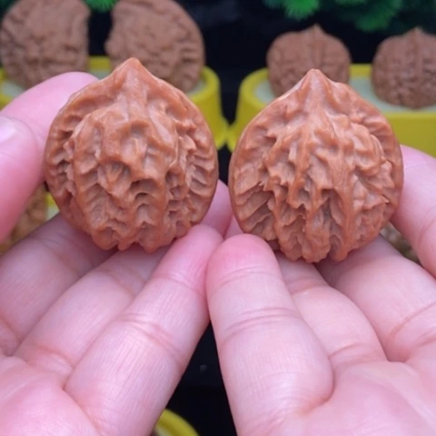 把件文玩核桃曹大龙36/38