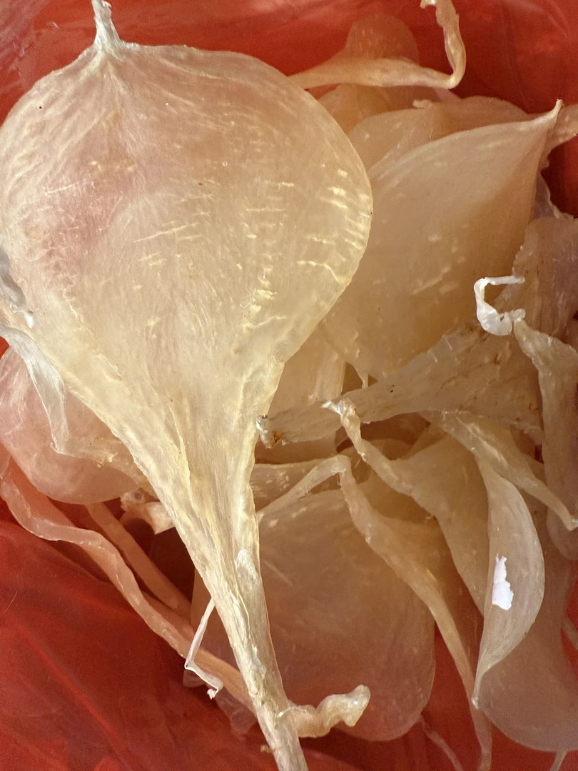 斗湖胶 鱼胶花胶滋补好物甄选