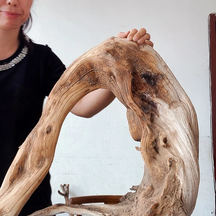 知***y香榧木太行山区的农民