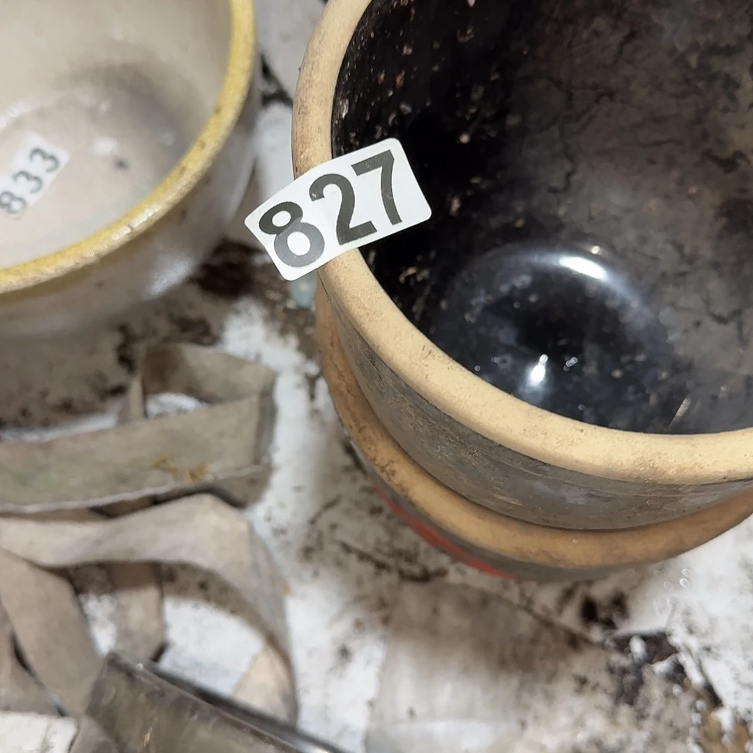 吉***意茶盏好喜欢你这首情歌好治愈的啊