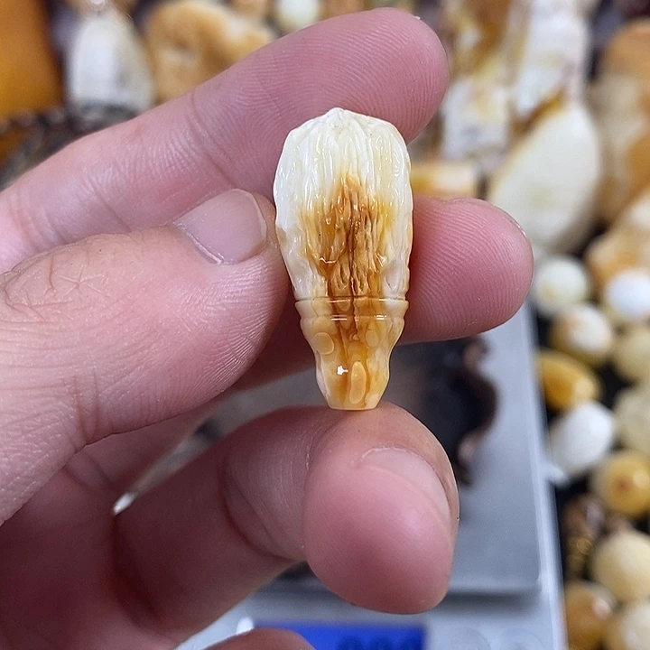 X***x琥珀未镶嵌裸石我