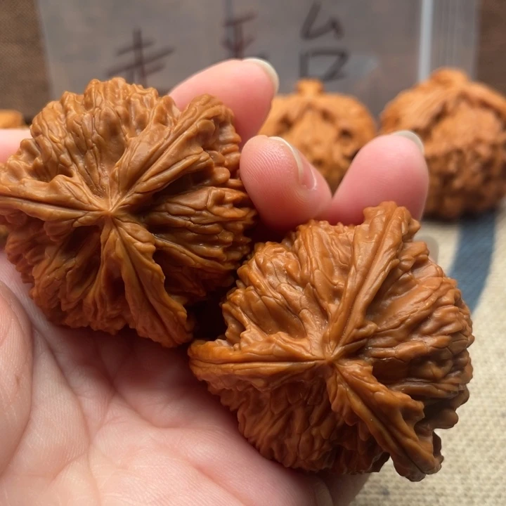 结***束核桃白狮子43核桃