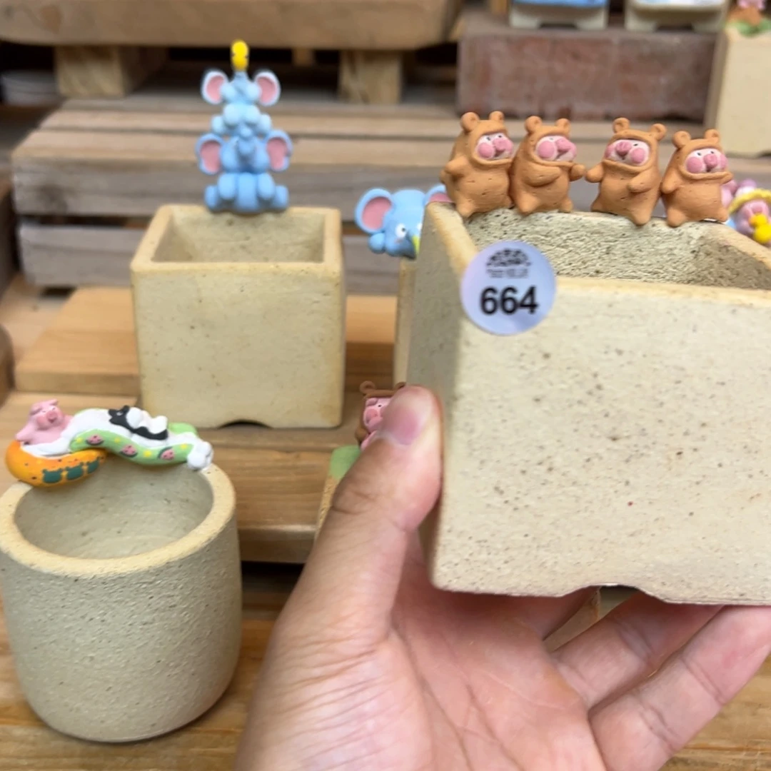 泡****664新款猪猪盆来咯