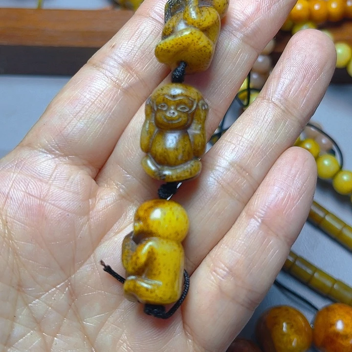 大果紫檀（缅甸花梨）