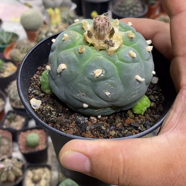 实生海鲜特价福利