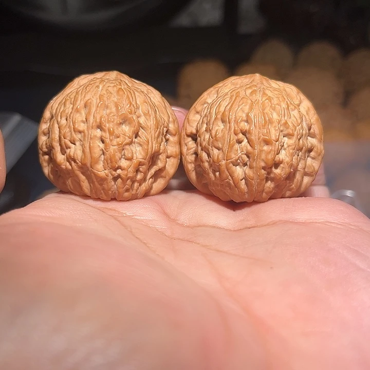 木40精品球体泥鳅背