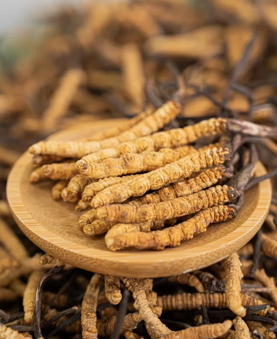 虫夏草包装盒虫草皮盒礼品盒
