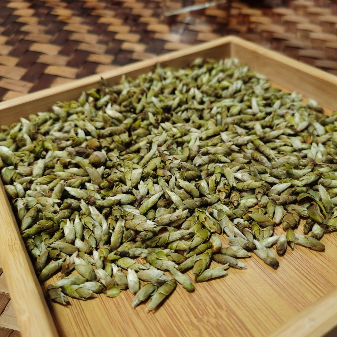 2024年仙人山荒野雪芽苞散茶（100g）2月9【14号】