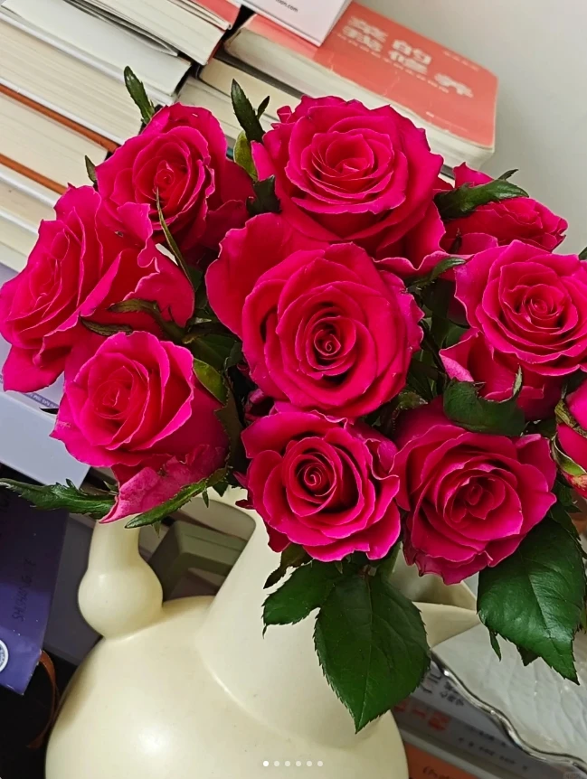 高盛玫瑰 20支（5枝不赔付）+营养剂