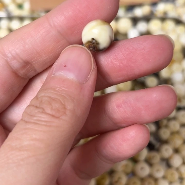 蜜蜡未镶嵌裸石10.5mm一个