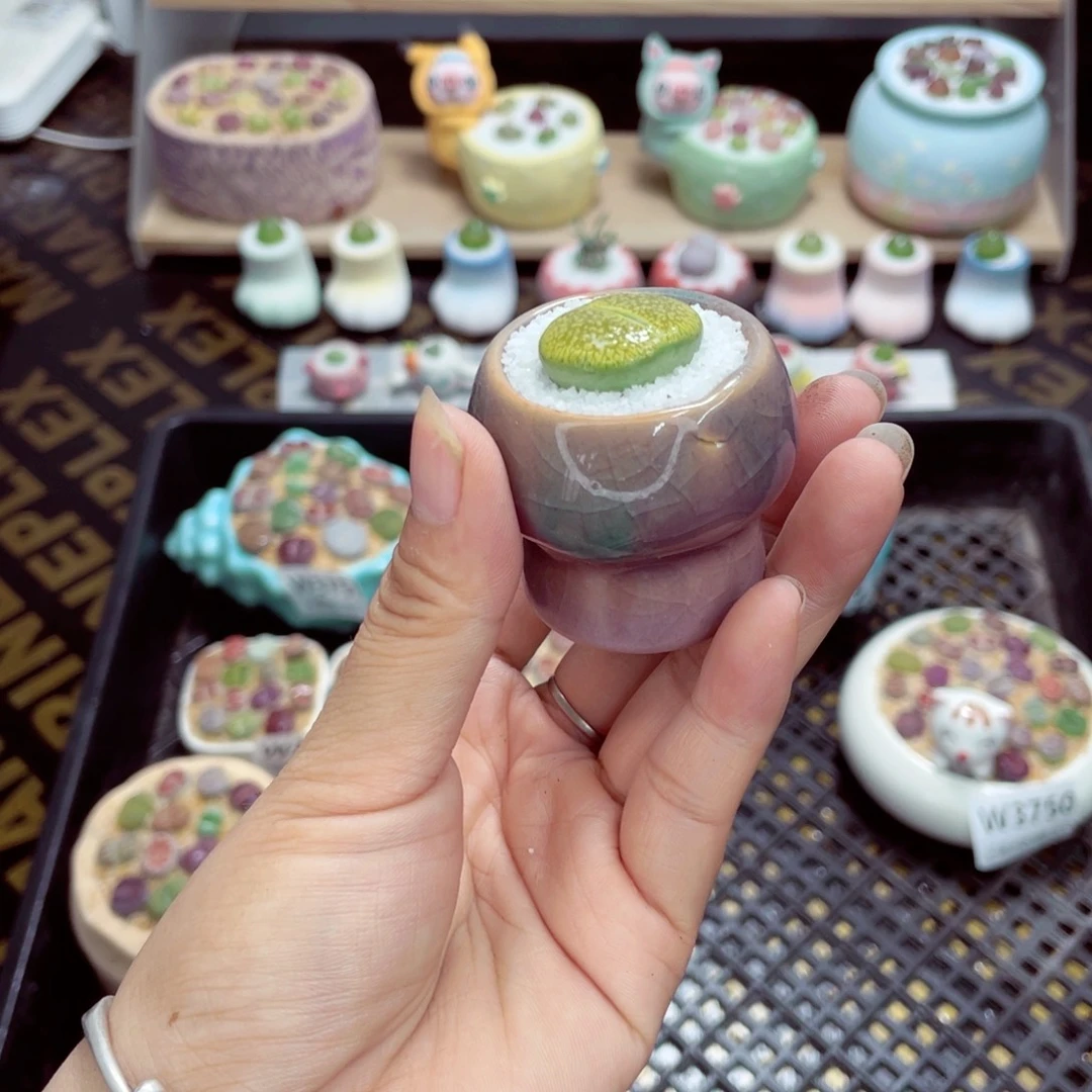 w3755盆微瑕带盆土发货一物一拍