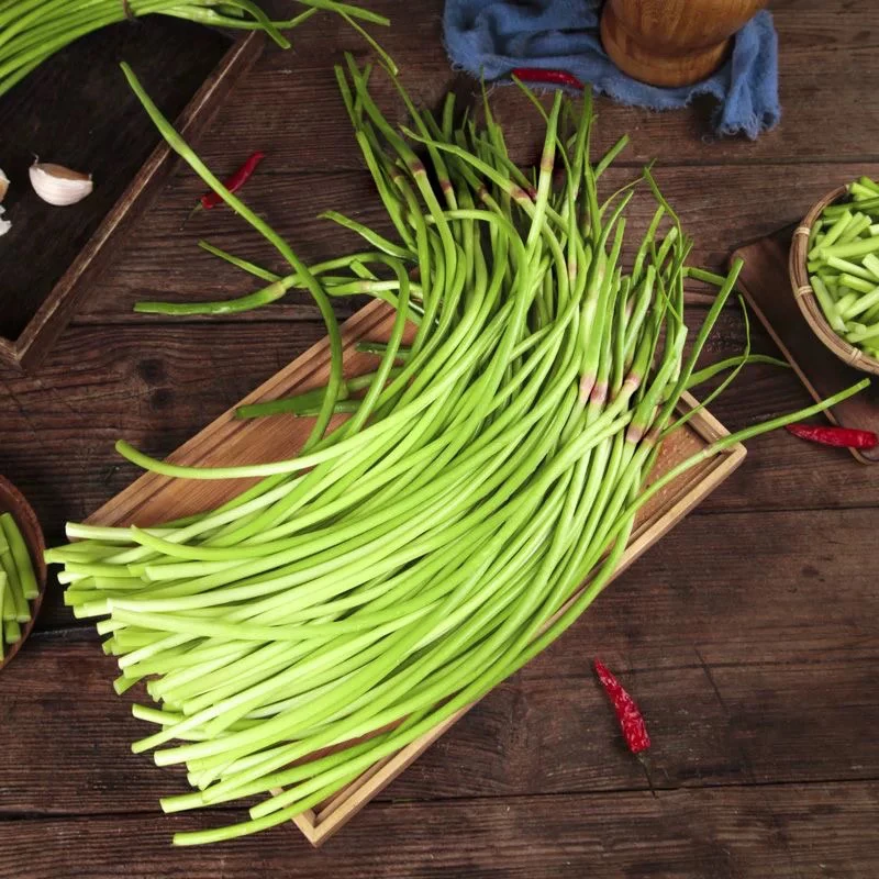 蒜苔农家自种嫩蒜苔土蒜苔现货1000g
